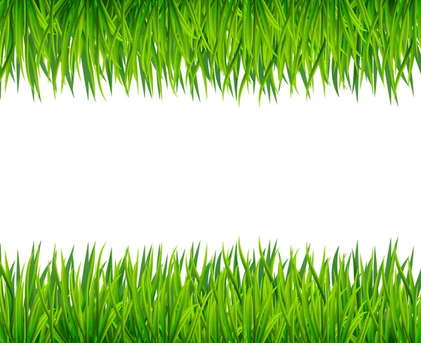 Banner mit grünem Gras — Stockvektor