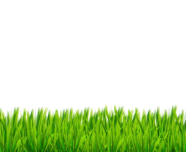 Banner de hierba verde — Vector de stock