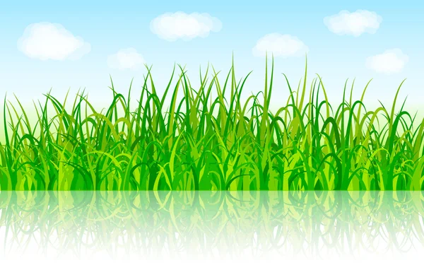 Fond nature avec herbe verte et ciel bleu — Image vectorielle