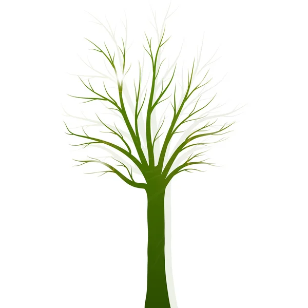 Groene boom silhouet op witte achtergrond — Stockvector