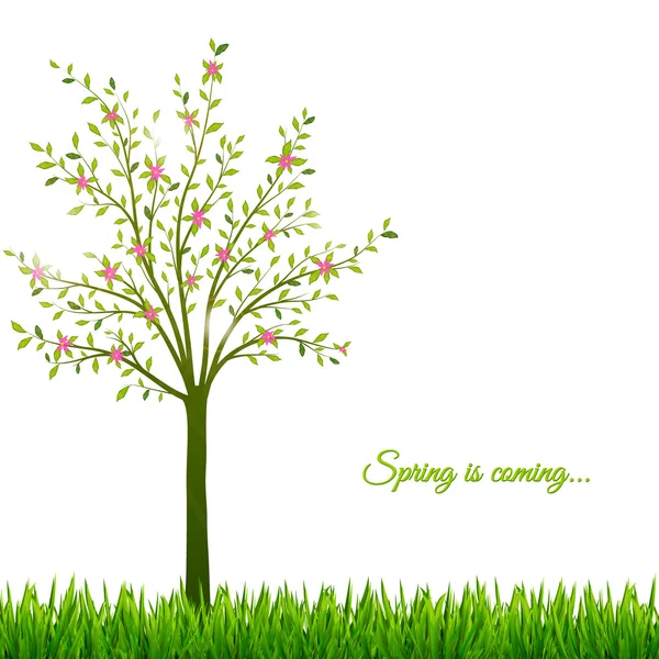 Spring background with tree and grass — Stock Vector