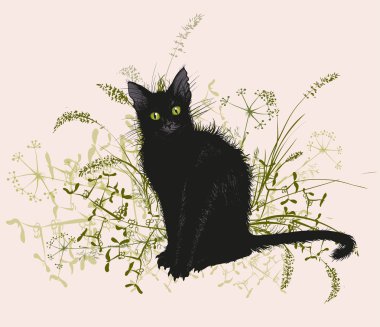  Pörsümüş bir ot siyah kedi.