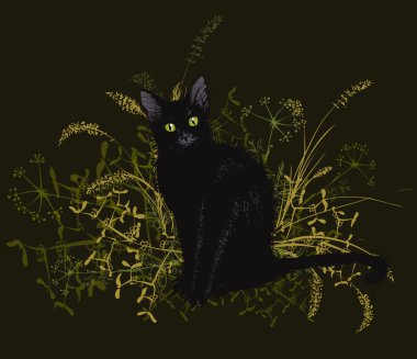  Pörsümüş bir ot siyah kedi.