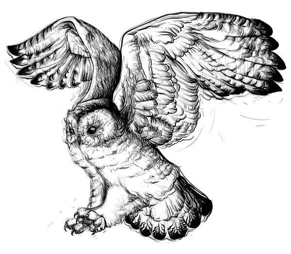 Dessin à la main d'un hibou volant . — Image vectorielle