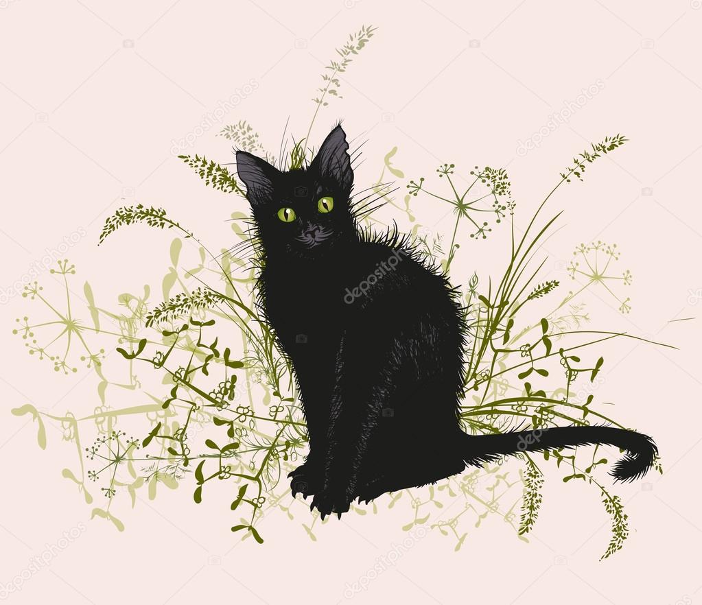  Black cat in a withered grass.
