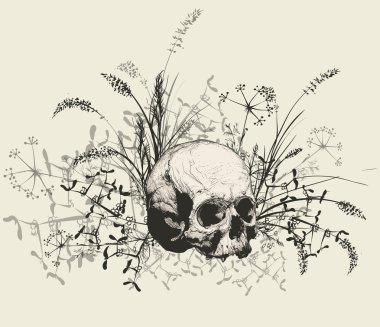 Bir çim alan tarafından çevrili kafatası.