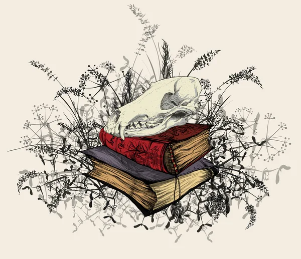Crâne dans les livres occultes, entouré d'une herbe . — Image vectorielle