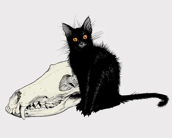 Schwarze Katze und Totenkopf. — Stockvektor