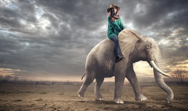 Vrouw zitten op een olifant — Stockfoto