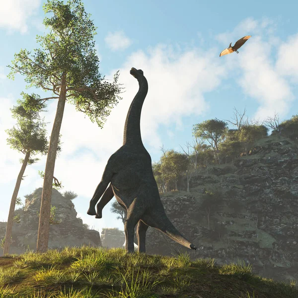 Brachiosaurus Dinoszaurusz Völgyben Eszik Egy Pterodactyl Repül Fölötte Egy Renderelés — Stock Fotó