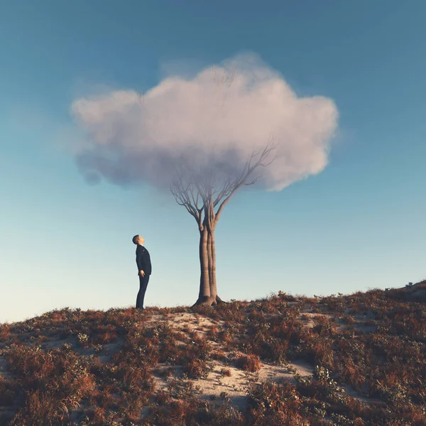 Uomo Guarda Albero Con Una Nuvola Invece Cespuglio Concetto Auto — Foto Stock