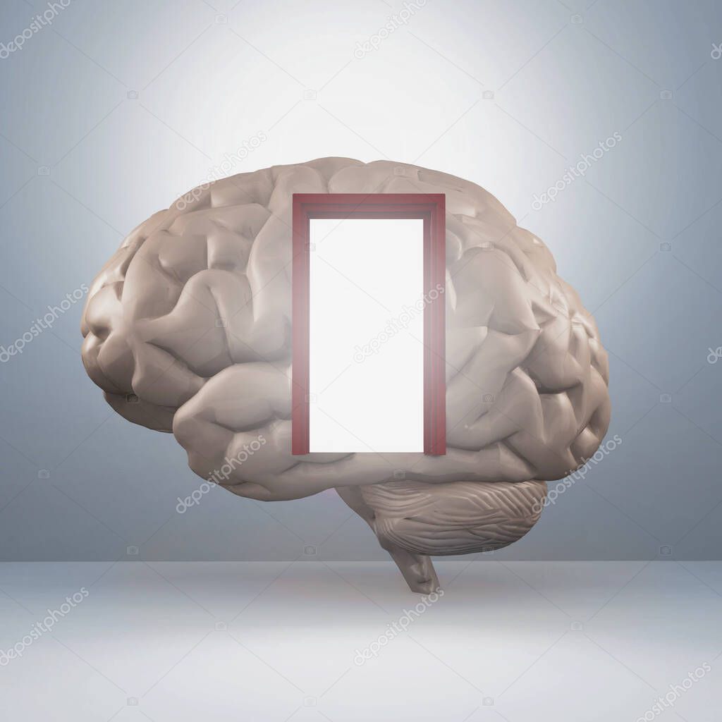 Human brain with a door . This is a 3d render illustration . 