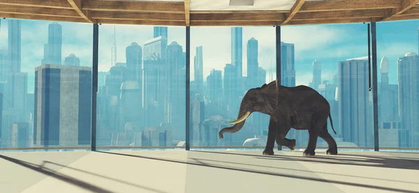 Elefant Einem Gebäude Der Stadt Start Und Geschäftskonzept Dies Ist — Stockfoto