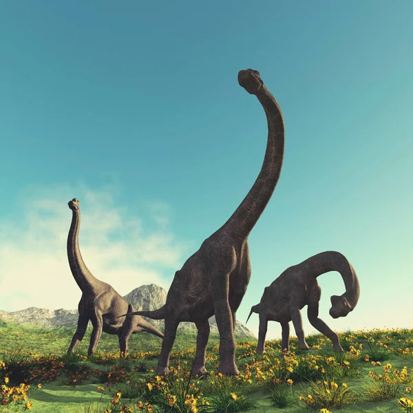 Brachiosaurus Valley Render Illustration — Stock Photo, Image