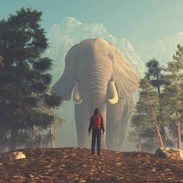 Άνθρωπος Κοιτάζει Έναν Τεράστιο Ελέφαντα Στο Δάσος Αυτή Είναι Μια — Φωτογραφία Αρχείου