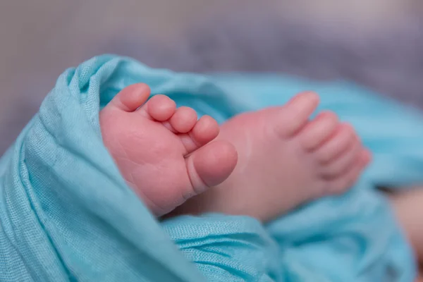 Pernas do bebê recém-nascido — Fotografia de Stock