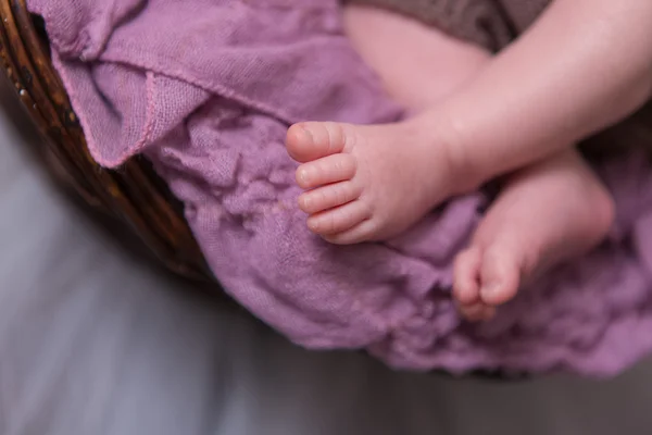 Die Füße eines Neugeborenen — Stockfoto