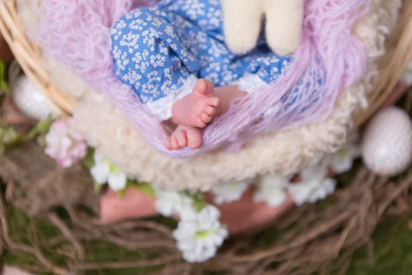 Os pés de um bebê recém-nascido — Fotografia de Stock