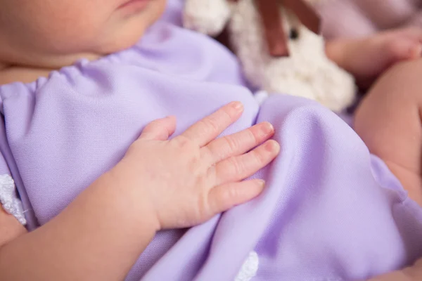 Baby hands newborn — Stock Photo, Image