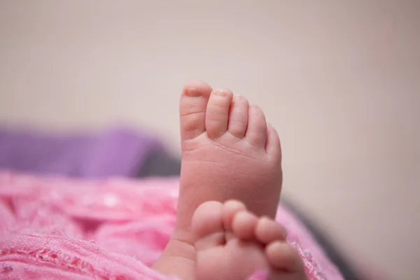 The feet of a newborn baby — Stock Photo, Image