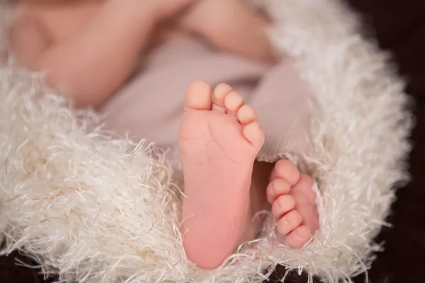 Newborn baby legs — Stock Photo, Image