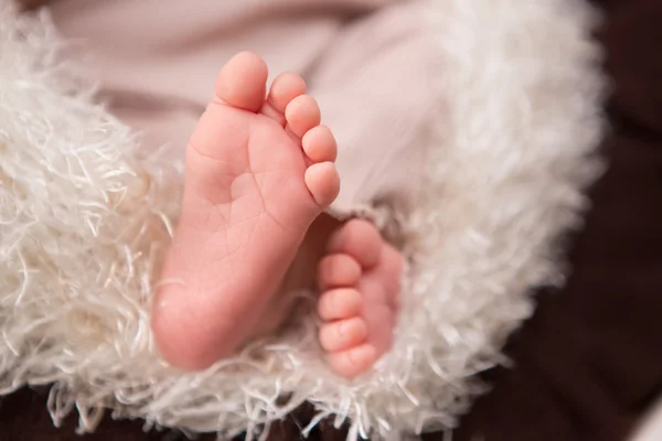 Newborn baby legs — Stock Photo, Image