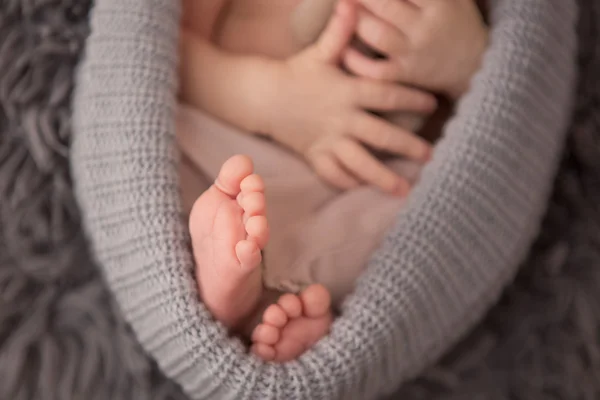 Newborn baby legs — Stock Photo, Image