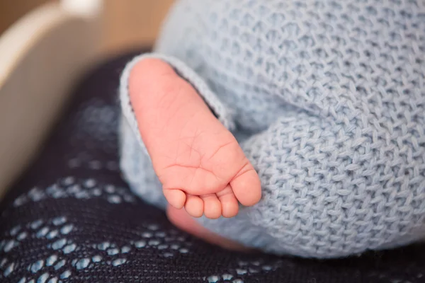신생아 아기 다리 — 스톡 사진