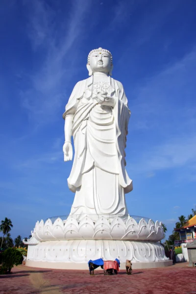 Wat Mai Suvankhiri (Dragon Boat temple), Kelantan, Malasia —  Fotos de Stock