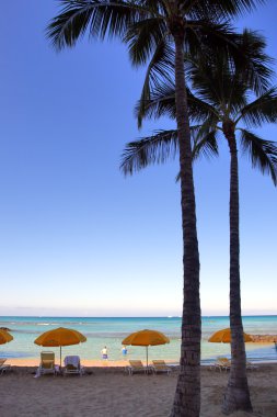 Beach Waikiki, Honolulu, Oahu, Hawaii