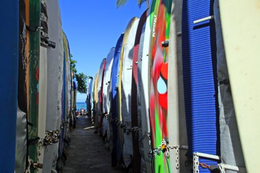 Wikiki Beach, Hawaii sörf tahtası stok görüntü