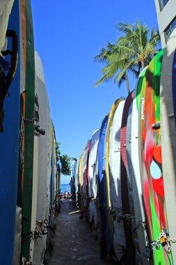 Wikiki Beach, Hawaii sörf tahtası stok görüntü