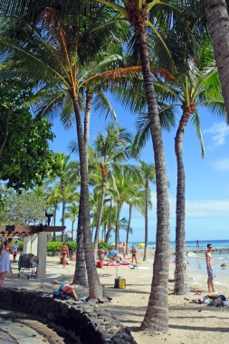 Beach Waikiki, Honolulu, Oahu, Hawaii