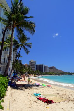 Beach Waikiki, Honolulu, Oahu, Hawaii