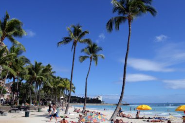 Beach Waikiki, Honolulu, Oahu, Hawaii