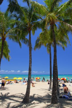 Beach Waikiki, Honolulu, Oahu, Hawaii