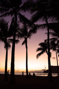 Beach Waikiki, Honolulu, Oahu, Hawaii