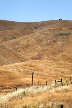 Kaliforniya'nın Central Coast, Big Sur, ABD