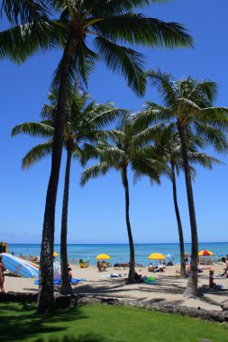 Beach Waikiki, Honolulu, Oahu, Hawaii