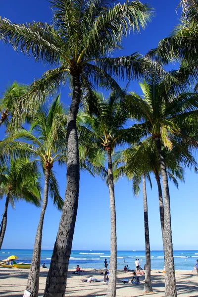La playa de Waikiki, Honolulu, Oahu, Hawaii —  Fotos de Stock