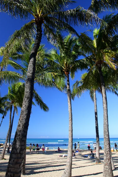 Spiaggia di Waikiki, Honolulu, Oahu, Hawaii — Foto Stock