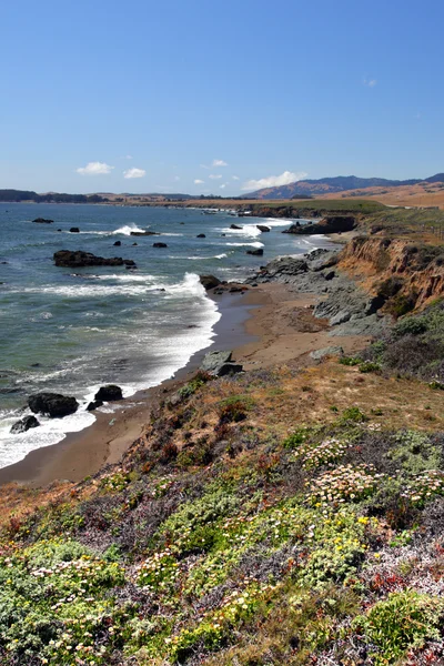 California's Central Coast, Big Sur, USA — Stock Photo, Image