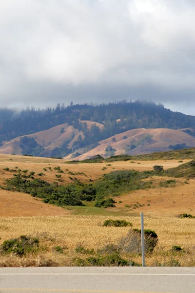 Kaliforniens Zentralküste, Big Sur, USA — Stockfoto