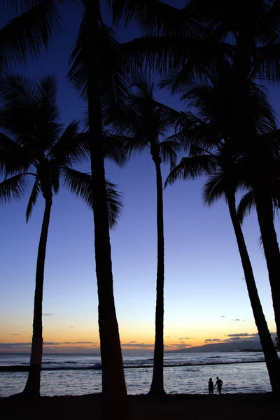 Waikiki Beach, Honolulu, Oahu, Hawaii — Stock Photo, Image