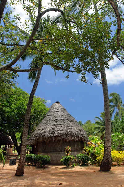 Archivbild der polynesischen Kultur, des Tanzes, des Festivals und der Kunst — Stockfoto