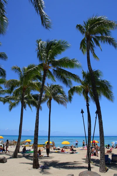 Beach Waikiki, Honolulu, Oahu, Hawaii — Stok fotoğraf