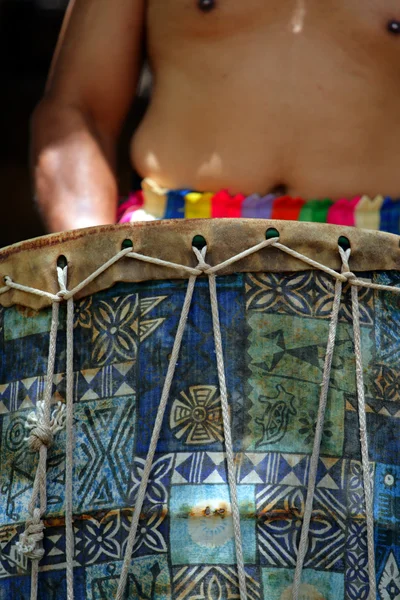 Imagem stock da cultura polinésia, dança, festival e arte — Fotografia de Stock