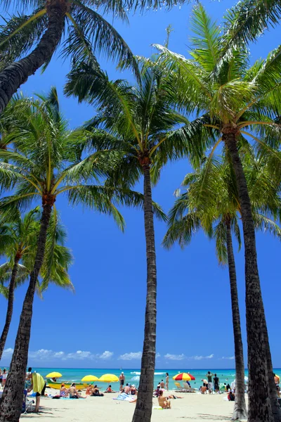 La playa de Waikiki, Honolulu, Oahu, Hawaii — Foto de Stock