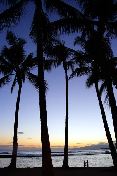 Waikiki Beach, Honolulu, Oahu, Hawaii — Stock Photo, Image