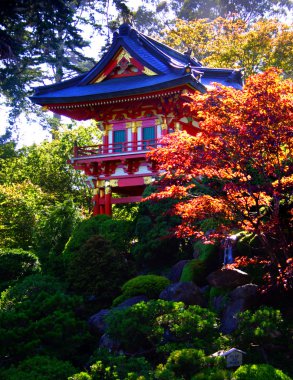 Japon çay Bahçesi, san francisco